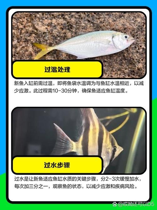 消毒后的小魚可以保存多久？：殺好的魚可以放冰箱保鮮多久
