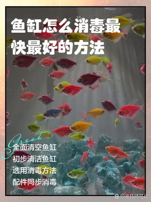 消毒后的小魚可以保存多久？：殺好的魚可以放冰箱保鮮多久