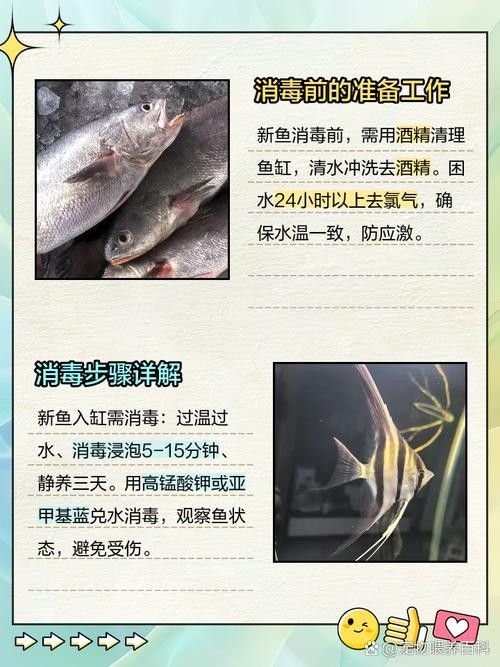 消毒后的小魚可以保存多久？：殺好的魚可以放冰箱保鮮多久