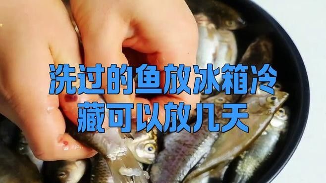 消毒后的小魚可以保存多久？：殺好的魚可以放冰箱保鮮多久