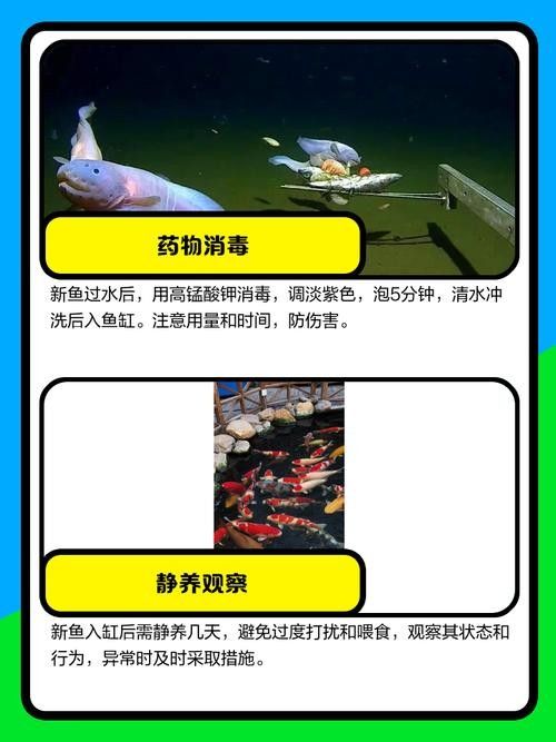 消毒后的小魚可以保存多久？：殺好的魚可以放冰箱保鮮多久