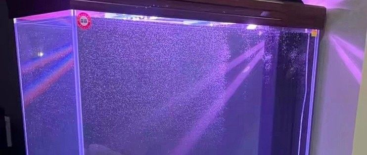 森森龍魚缸有哪些型號：森森龍魚缸哪個型號性價比最高森森龍魚缸型號及其特點
