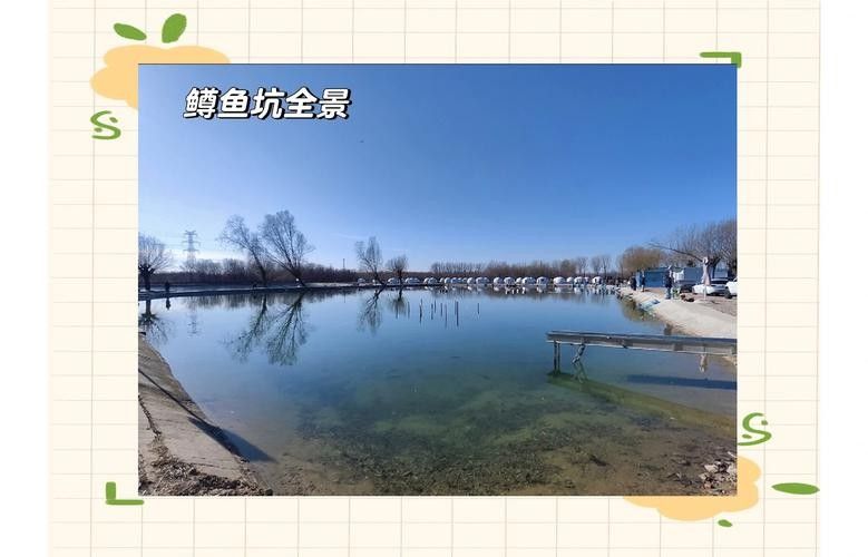 這兩家漁場的價格如何？：常興莊漁場和太公釣場價格對比 這兩家漁場的價格如何？：常興莊漁場和太公釣場價格對比 龍魚百科 第1張