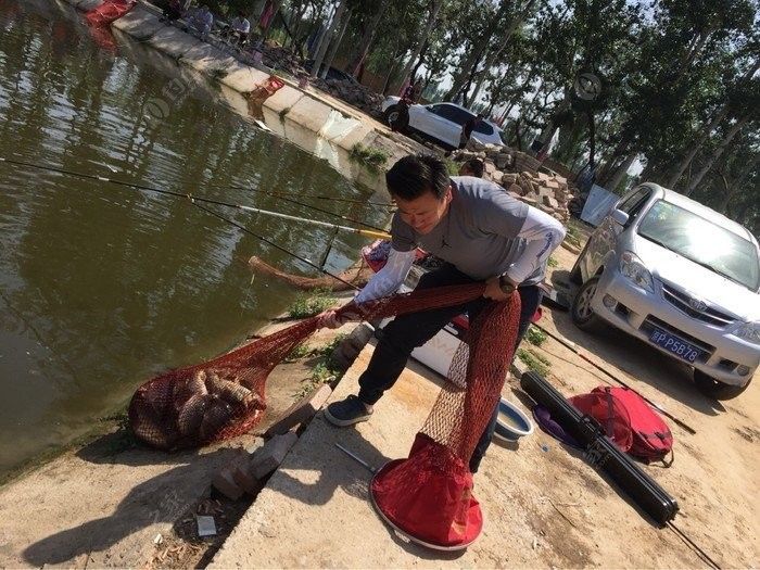 這兩家漁場的價格如何？：常興莊漁場和太公釣場價格對比 這兩家漁場的價格如何？：常興莊漁場和太公釣場價格對比 龍魚百科 第8張