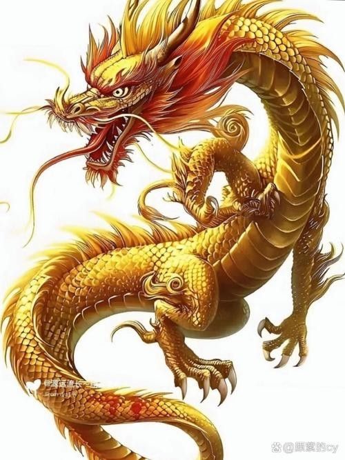 哪里可以找到更多招財金龍壁紙：如何獲取招財金龍壁紙 哪里可以找到更多招財金龍壁紙：如何獲取招財金龍壁紙 龍魚百科 第25張