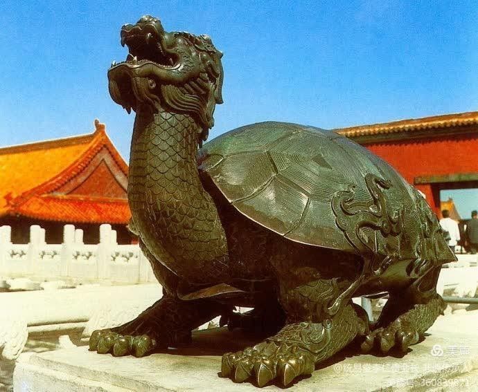 龍龜多久擦一次：龍龜擺件多久開一次光，龍龜擺放有哪些風水講究，龍龜擺放方法