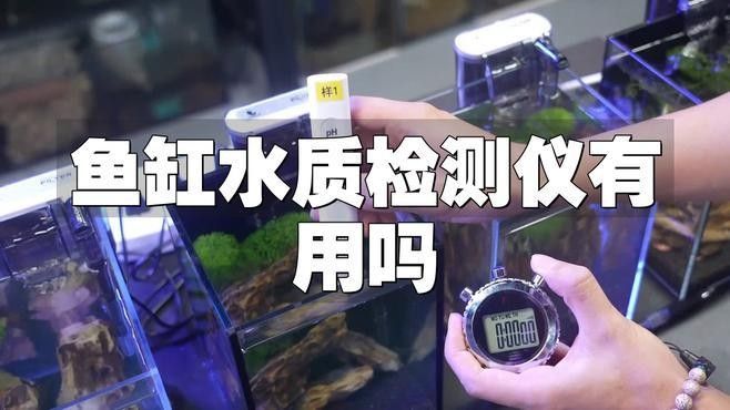 如何檢測龍魚缸的水質？：魚缸水質檢測方法