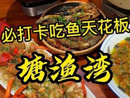 婁底哪個水族館龍魚好？祥龍魚場龍魚：婁底哪個水族館的龍魚好