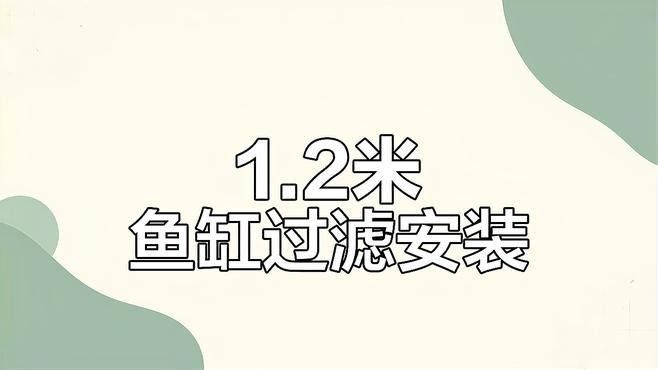 如何設(shè)置一米二魚缸的底濾系統(tǒng)：一米二的魚缸底濾系統(tǒng)設(shè)置是一個需要細(xì)致規(guī)劃和執(zhí)行的過程
