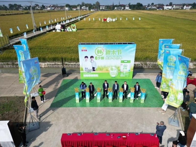 金龍魚在安徽的主要產(chǎn)品有哪些：金龍魚在安徽市場占有率如何？