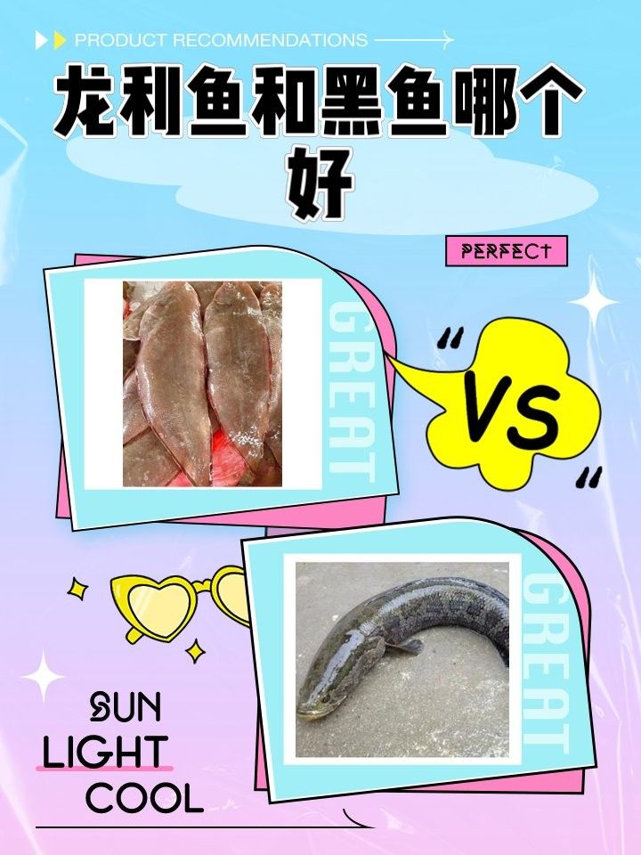 龍利魚和黑魚哪個更有營養：利魚和黑魚哪個好
