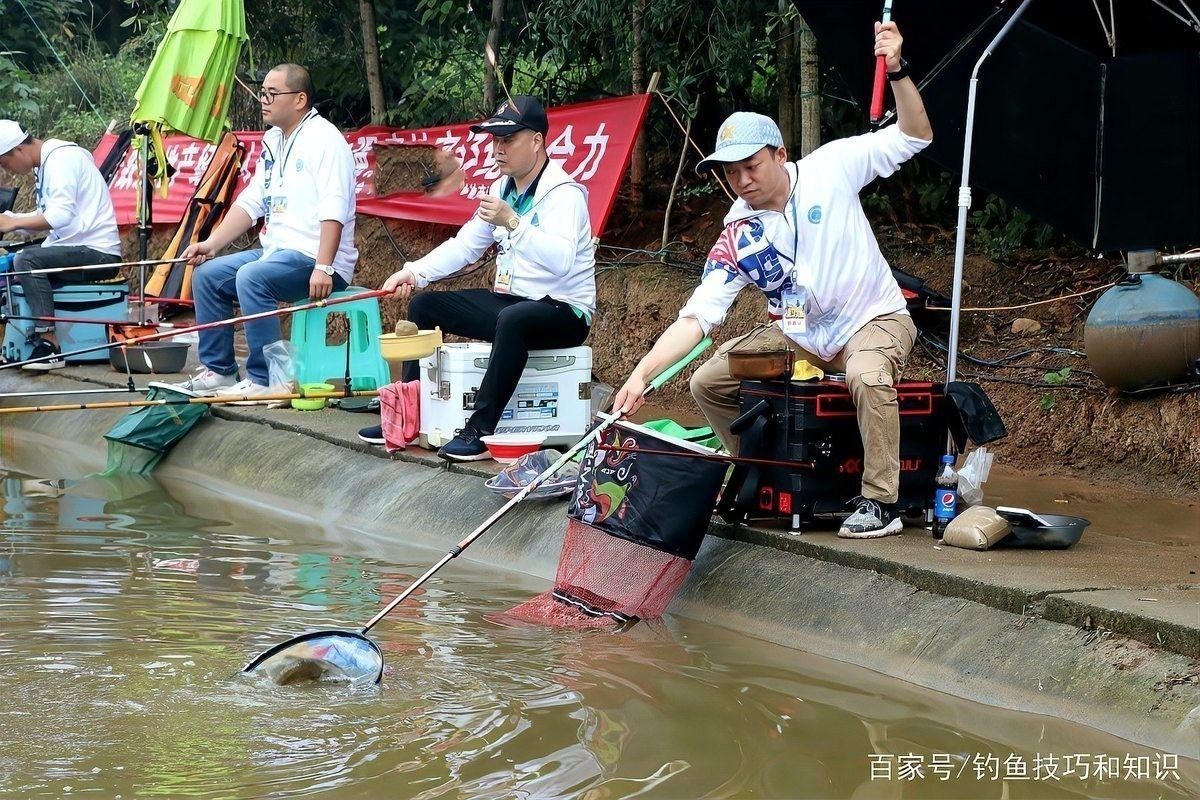海龍魚如何食用效果最佳？，海龍魚食譜清單
