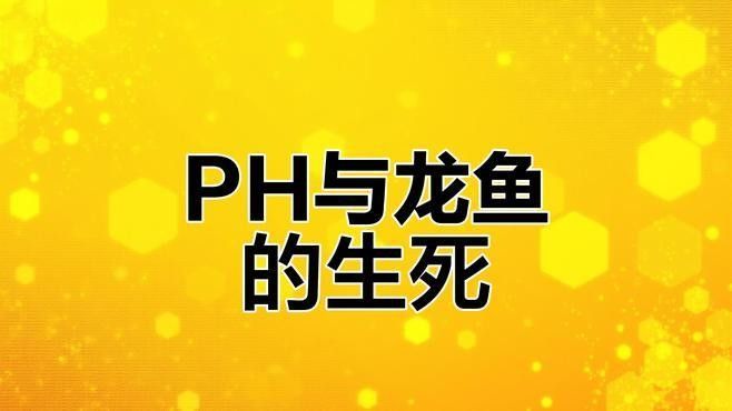 綠皮紅龍魚多久換一次水？：綠皮紅龍魚多久換一次水