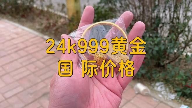24K金龍魚的價格走勢如何？：24k金龍魚價格走勢分析