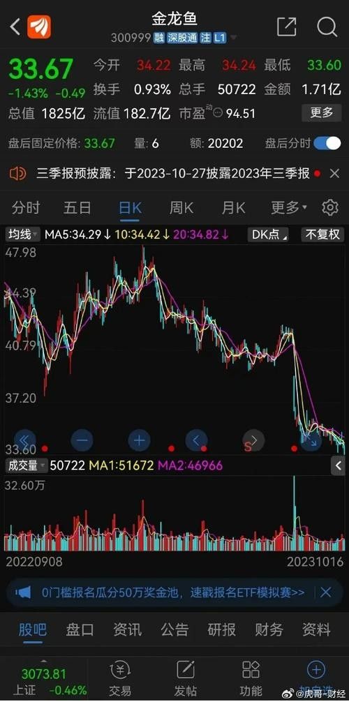 24K金龍魚的價格走勢如何？：24k金龍魚價格走勢分析