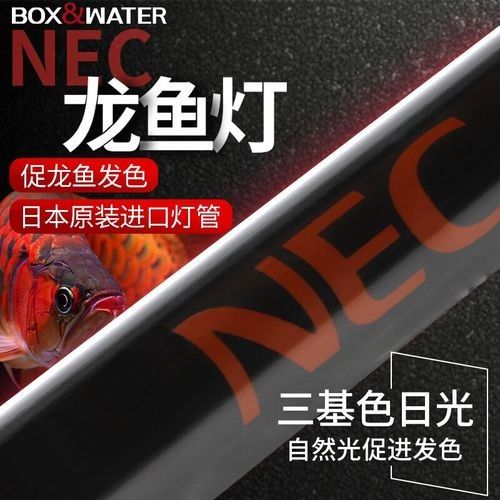 如何判斷龍魚燈的質量：怎樣判斷龍魚燈的質量