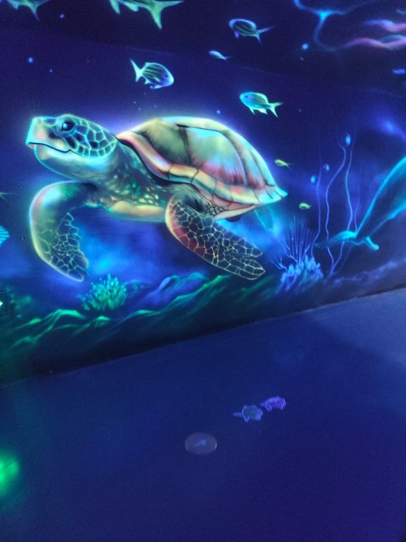 東河哪個水族館龍魚好？祥龍魚場龍魚：富國海底世界和大興龍玥城哪個更適合觀賞魚養殖
