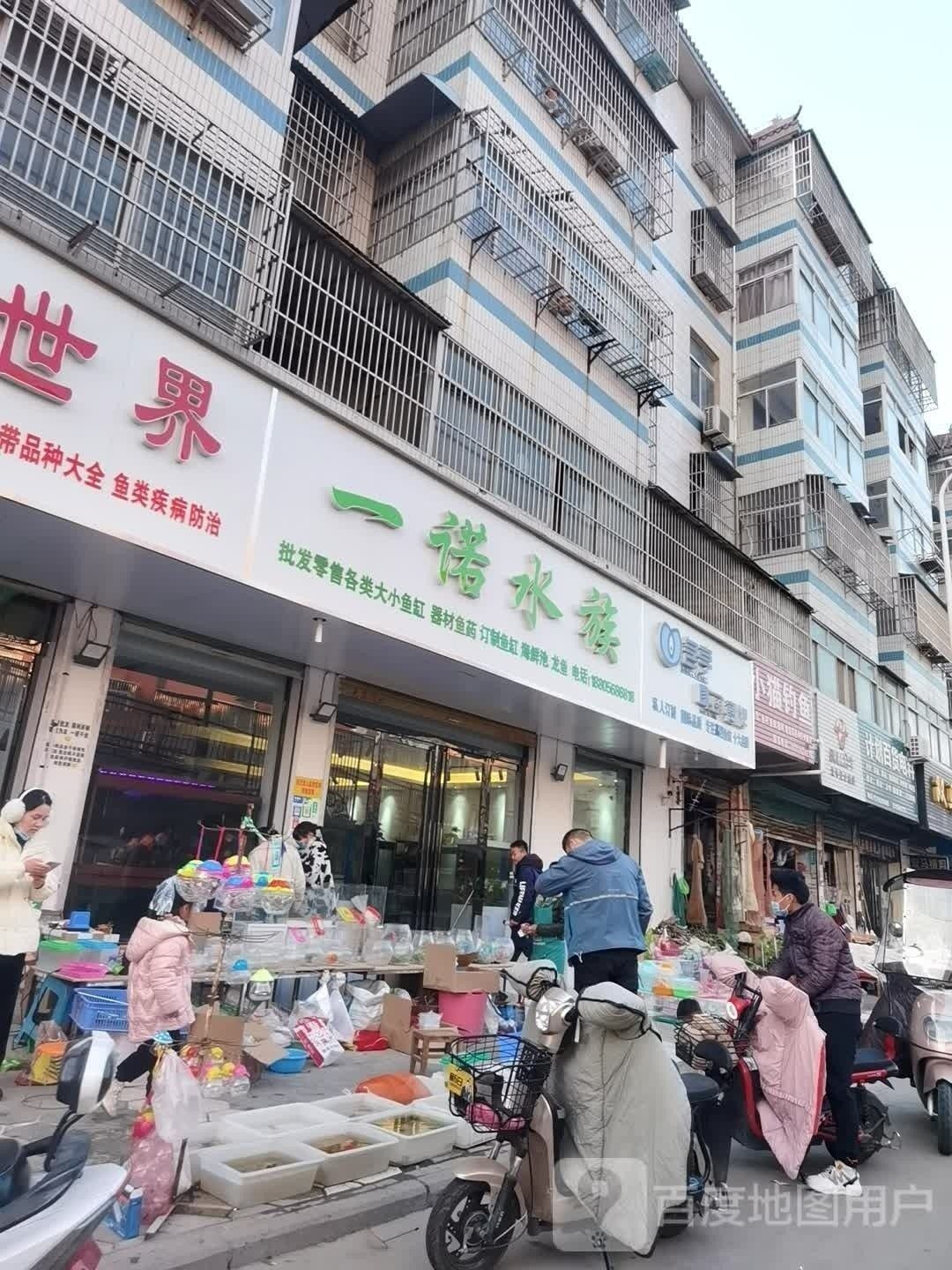 界首哪個(gè)水族館龍魚好？祥龍魚場龍魚：界首哪個(gè)水族館龍魚好