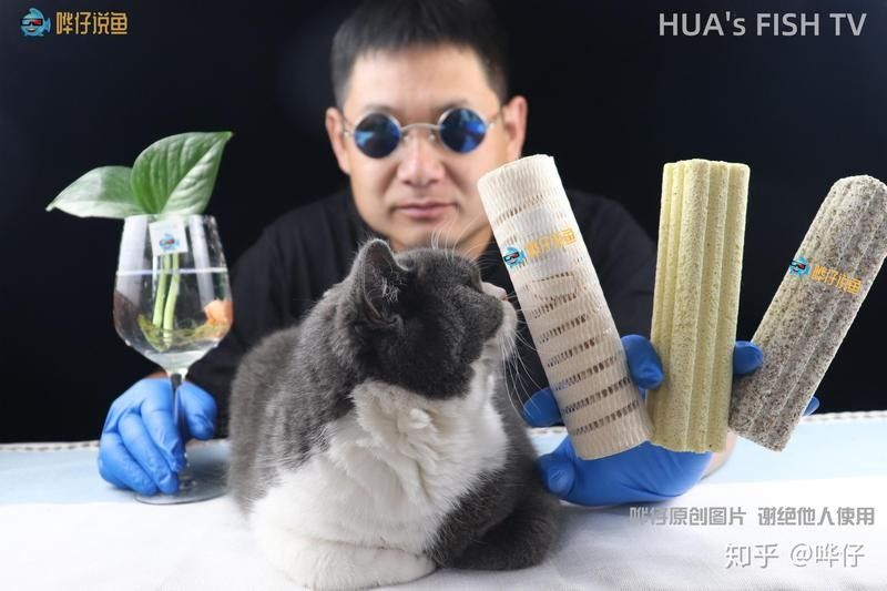底濾倉的細菌屋如何擺放？：如何正確地擺放細菌屋