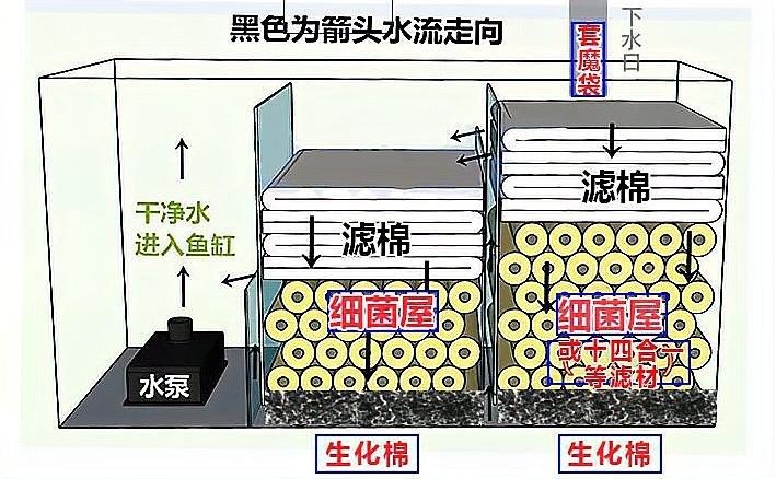底濾倉的細菌屋如何擺放？：如何正確地擺放細菌屋
