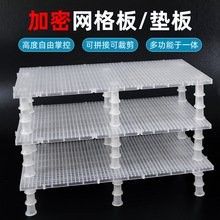 哪種魚缸遮蔽材料最經濟實惠？：阿里巴巴1688水族箱隔離品牌排行榜