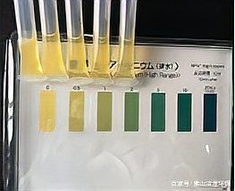 黃金眼鏡蛇雷龍魚推薦圖片和大型雷龍魚推薦圖片欣賞圖片欣賞，黃金眼鏡蛇雷龍魚怎么樣