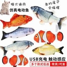龍北市場是否有龍魚批發？：汕頭龍北市場店)4.0杏園西2幢105號房干果店購物商鋪