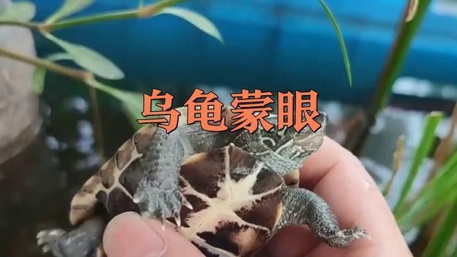 蒙眼病如何治療：蒙眼病應(yīng)該如何治療