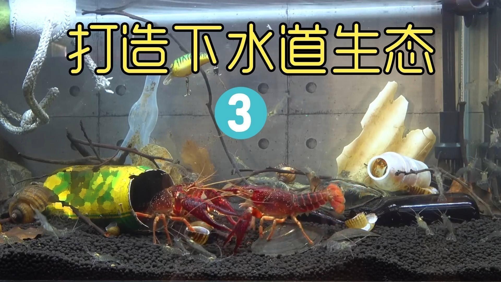 如何模擬自然產卵環境：模擬自然產卵環境的關鍵技術