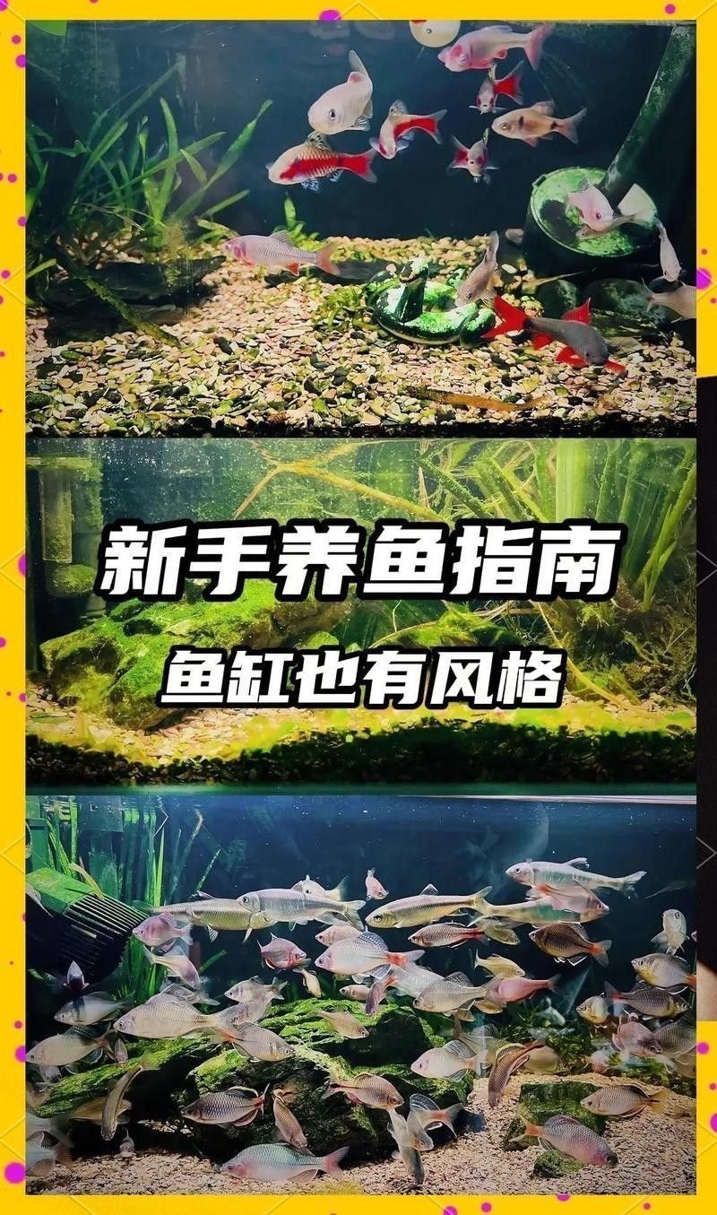 龍魚魚缸造景有哪些風格？：魔神雷龍魚缸造景風格的造景設計理念和風格的造景風格