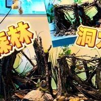 龍魚魚缸造景有哪些風格？：魔神雷龍魚缸造景風格的造景設計理念和風格的造景風格