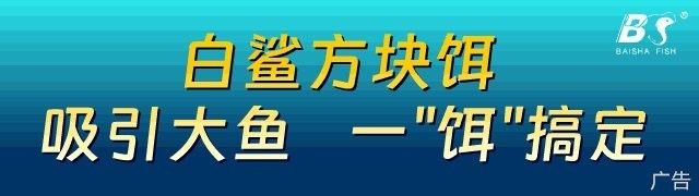黑魚和鱸魚哪個更營養？：黑魚和鱸魚哪個更受歡迎？