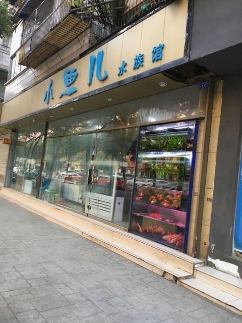 美鱗龍魚(yú)水族店?duì)I業(yè)時(shí)間是：美鱗龍魚(yú)水族店