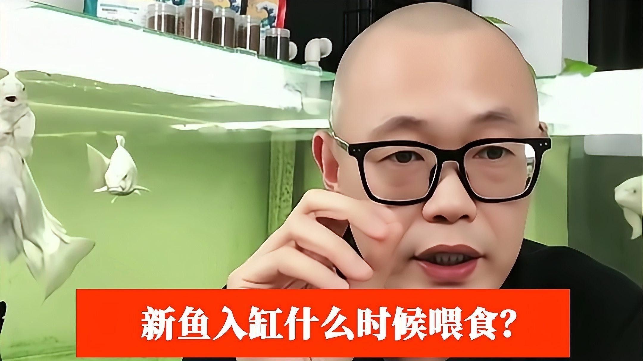 發色期換缸后需要多久喂食？：新買的魚到底幾天后可以喂食 發色期換缸后需要多久喂食？：新買的魚到底幾天后可以喂食 龍魚百科 第3張