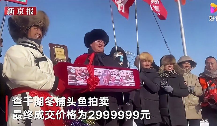 寶龍魚的市場價格是多少？：威海寶龍廣場周邊魚類產品價格表寶龍魚價格波動大嗎