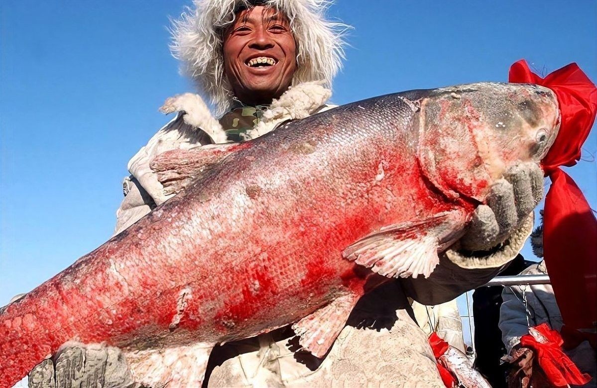 寶龍魚的市場價格是多少？：威海寶龍廣場周邊魚類產品價格表寶龍魚價格波動大嗎