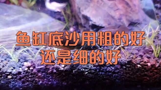 如何選擇合適的底砂：—中耐地基中耐地基中耐地基中耐地基中耐地基