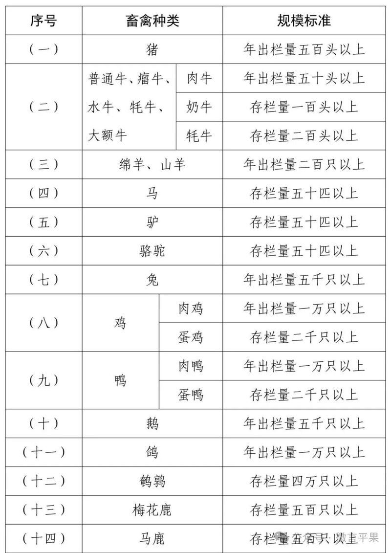 基地的養殖規模有多大：北京最大生豬養殖基地在房山開工光明網竇店肉牛養殖基地