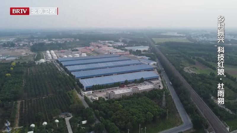 基地的養殖規模有多大：北京最大生豬養殖基地在房山開工光明網竇店肉牛養殖基地