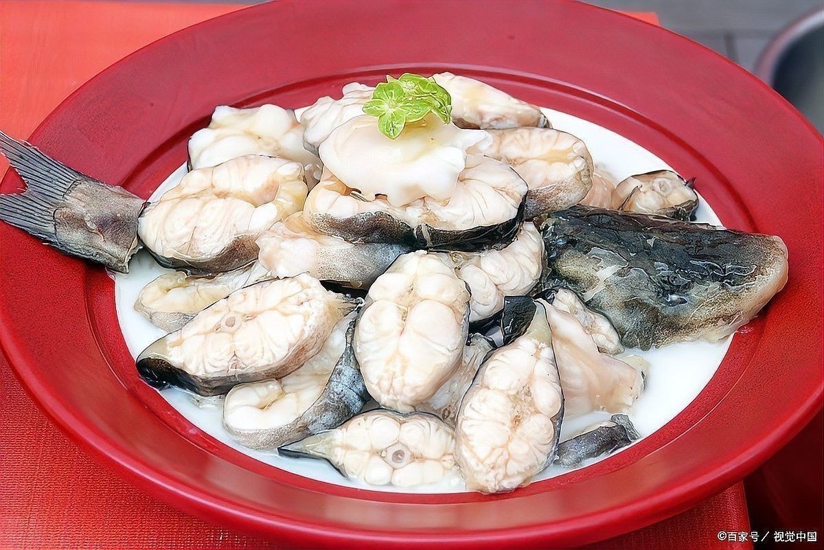 龍魚片煮久了會怎樣？：博禾醫生，魚片蒸幾分鐘能熟 龍魚片煮久了會怎樣？：博禾醫生，魚片蒸幾分鐘能熟 龍魚百科 第9張