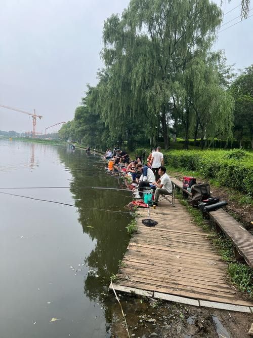 龍魚休閑垂釣中心怎么去：上海崇明哪里是禁漁區哪些地方不能垂釣
