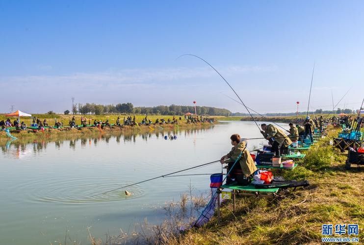 龍魚休閑垂釣中心怎么去：上海崇明哪里是禁漁區哪些地方不能垂釣