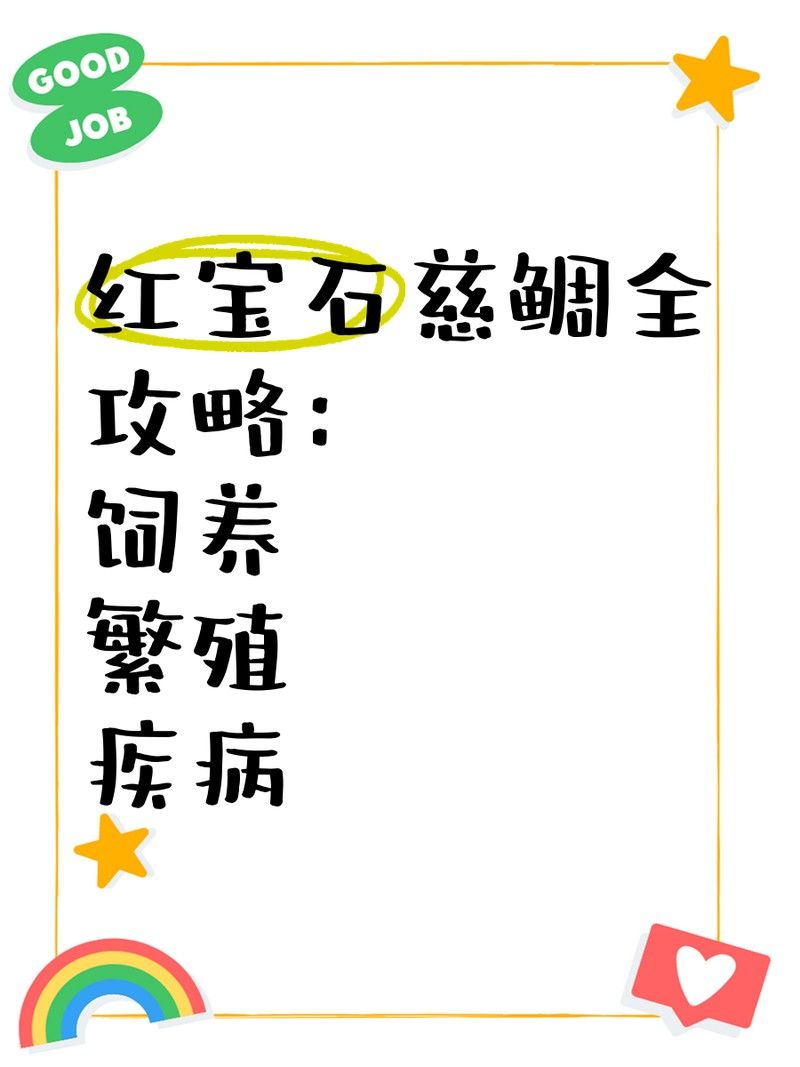 紅寶石魚和什么魚混養比較好：紅寶石魚可以和什么魚一起養 紅寶石魚和什么魚混養比較好：紅寶石魚可以和什么魚一起養 龍魚百科 第4張