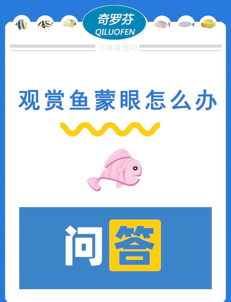龍魚內蒙眼治療周期一般多久：龍魚內蒙眼不同階段的癥狀及治療方式
