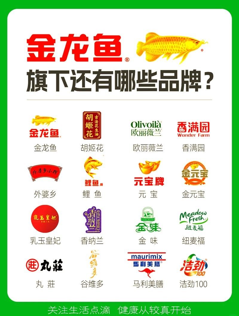 金龍魚和金元寶哪個更高端：金龍魚和金元寶哪個更具高端感？