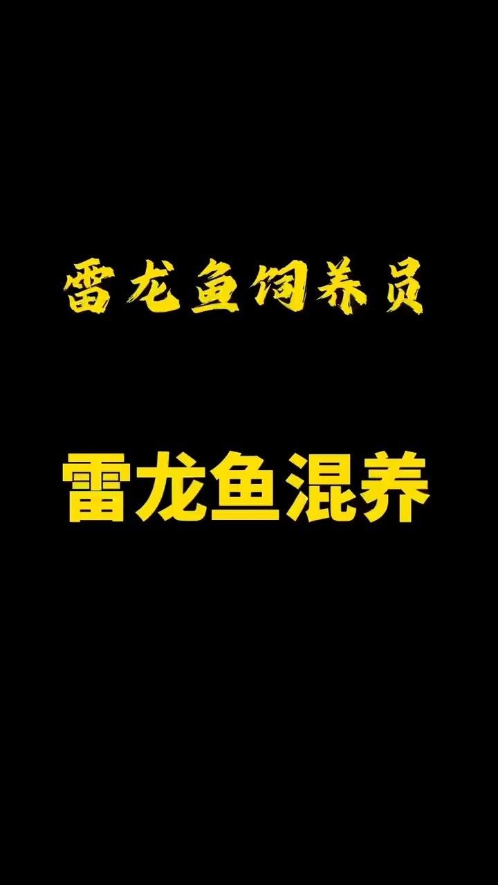 雷龍魚和烏魚能混養(yǎng)嗎：雷龍魚和烏魚可以混養(yǎng)嗎