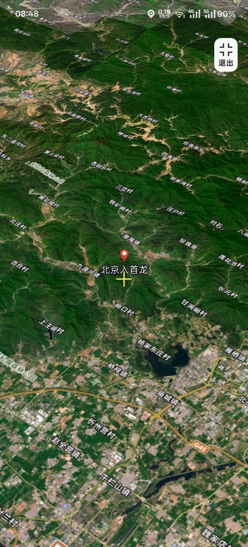 不同產地的金龍魚有何區別：不同產地的金龍魚在體型、顏色以及行為習性上可能會有所差異