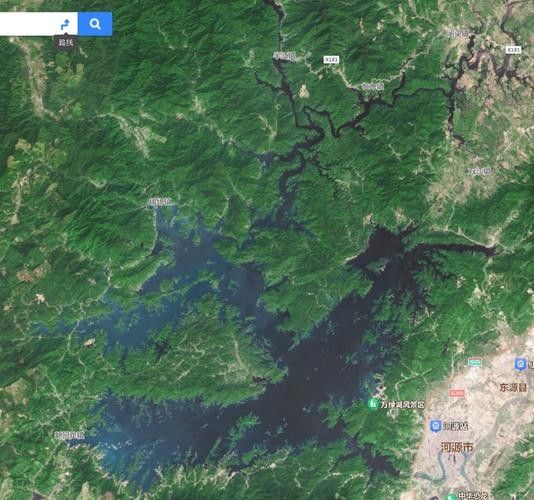 不同產地的金龍魚有何區別：不同產地的金龍魚在體型、顏色以及行為習性上可能會有所差異