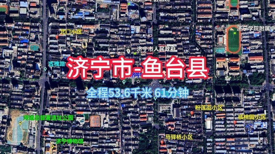 不同產地的金龍魚有何區別：不同產地的金龍魚在體型、顏色以及行為習性上可能會有所差異