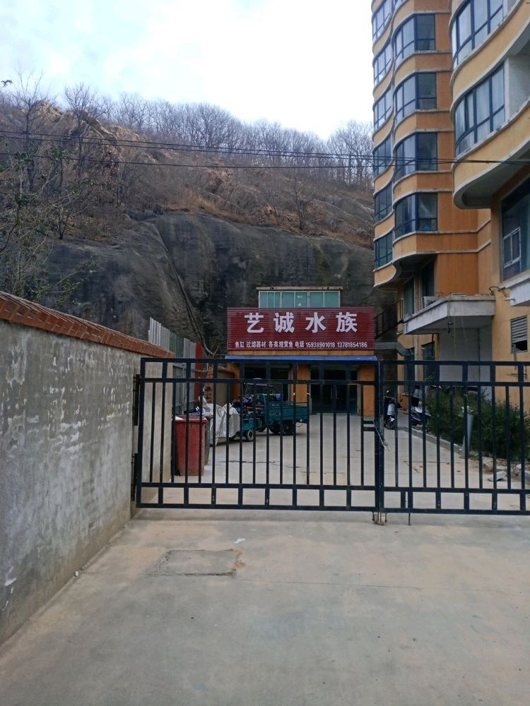 舞鋼哪個(gè)水族館龍魚好？祥龍魚場龍魚：舞鋼哪個(gè)水族館龍魚好